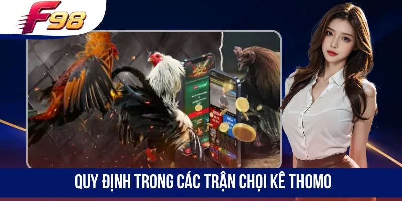 Quy định trong các trận chọi kê Thomo