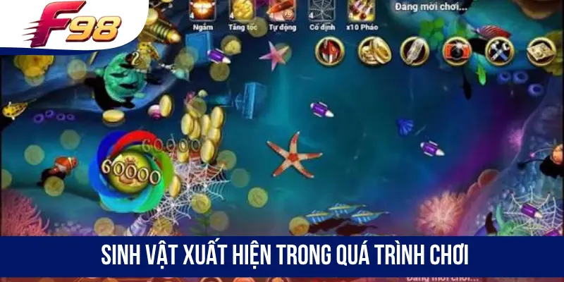 Sinh vật xuất hiện trong quá trình chơi